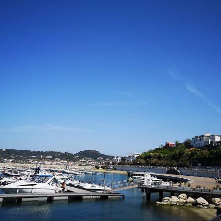 B&B La Salamandra Kitchengarden Forio di Ischia Eksteriør bilde