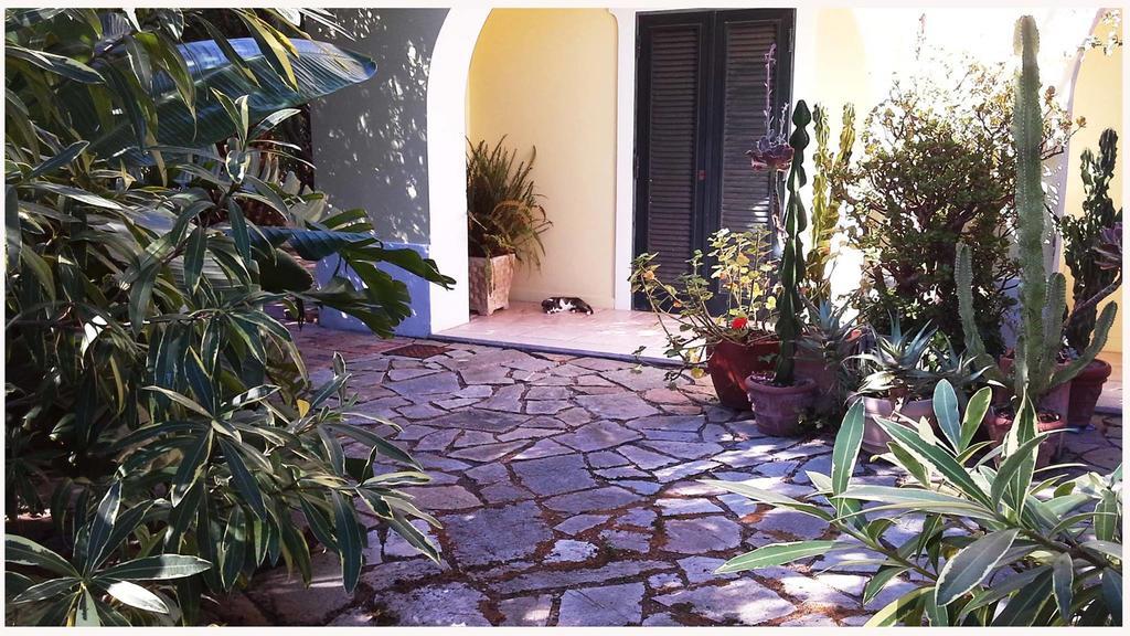B&B La Salamandra Kitchengarden Forio di Ischia Eksteriør bilde