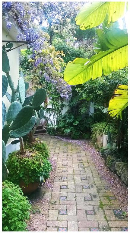 B&B La Salamandra Kitchengarden Forio di Ischia Eksteriør bilde