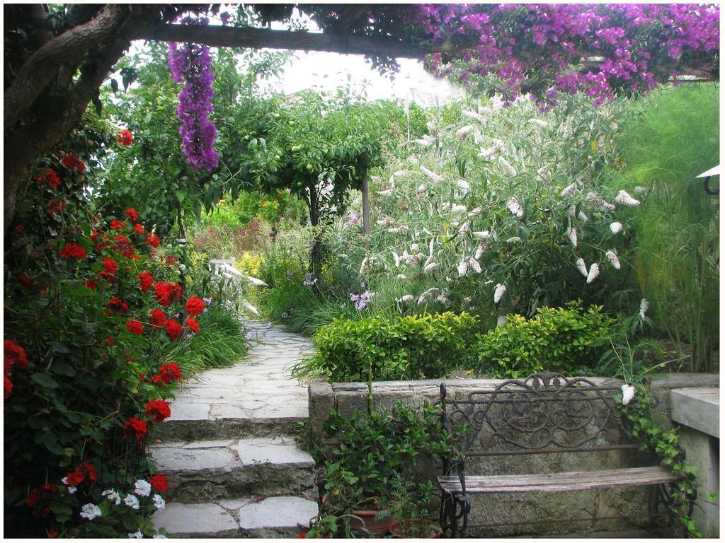 B&B La Salamandra Kitchengarden Forio di Ischia Eksteriør bilde