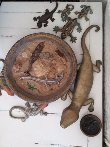 B&B La Salamandra Kitchengarden Forio di Ischia Eksteriør bilde