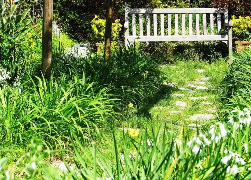 B&B La Salamandra Kitchengarden Forio di Ischia Eksteriør bilde