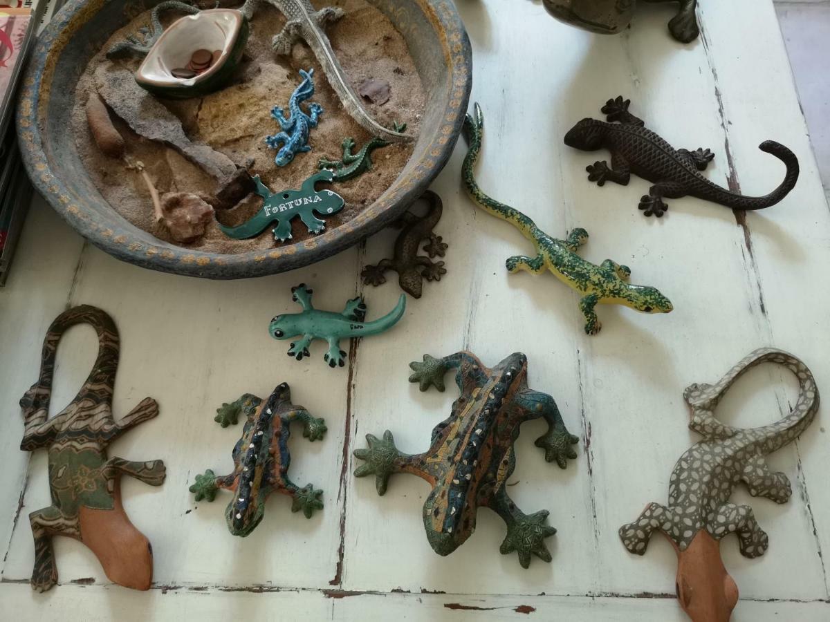 B&B La Salamandra Kitchengarden Forio di Ischia Eksteriør bilde
