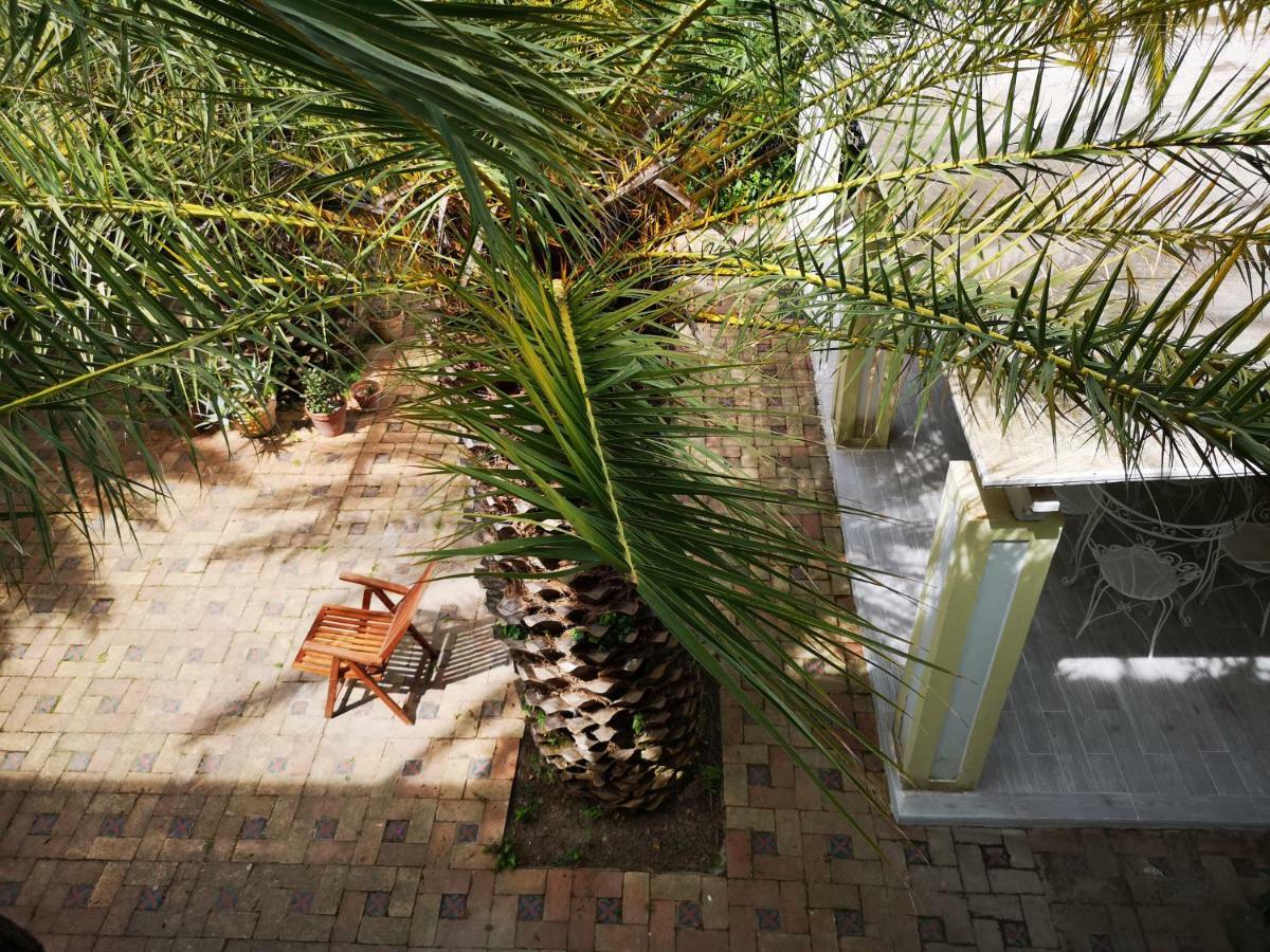 B&B La Salamandra Kitchengarden Forio di Ischia Eksteriør bilde