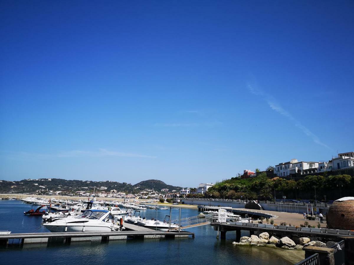 B&B La Salamandra Kitchengarden Forio di Ischia Eksteriør bilde
